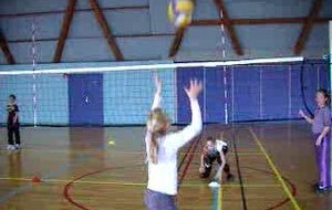 stage ecole volley 02 2010