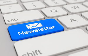 Newsletter N°2