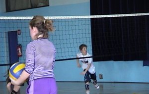 VVB (17).JPG